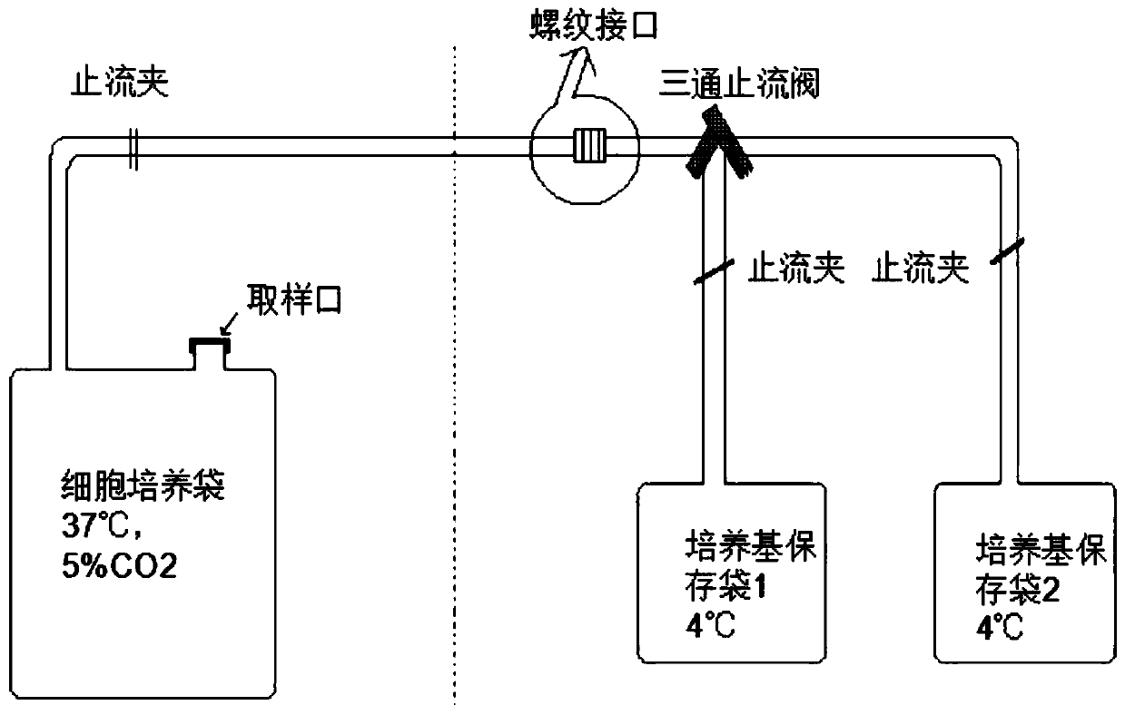 Immune cell culture method