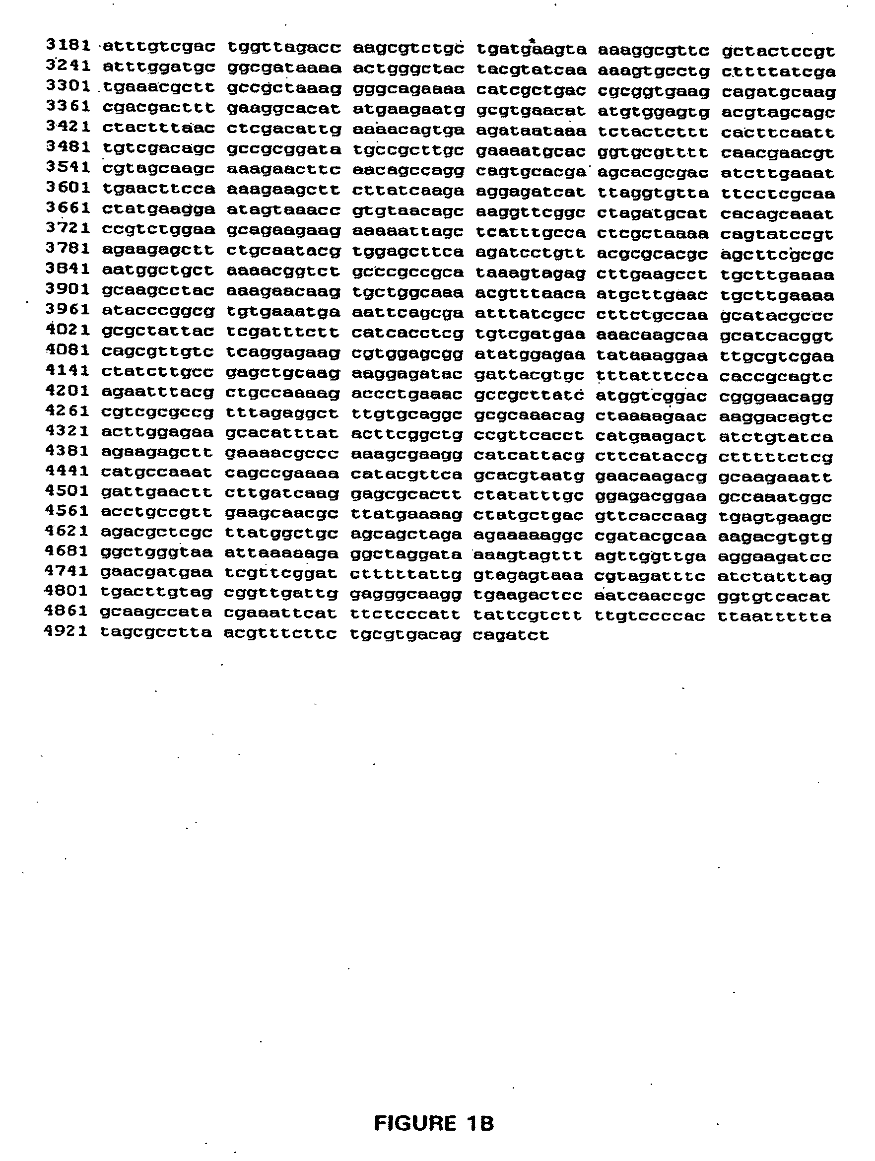 Thermostable peroxide-driven cytochrome P450 oxygenase variants and methods of use