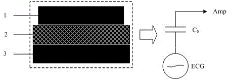 A capacitive electrode for detecting electrocardiographic signals of car drivers
