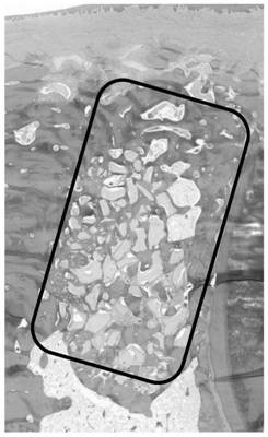 Osteoinductive regenerative film and its preparation method and application