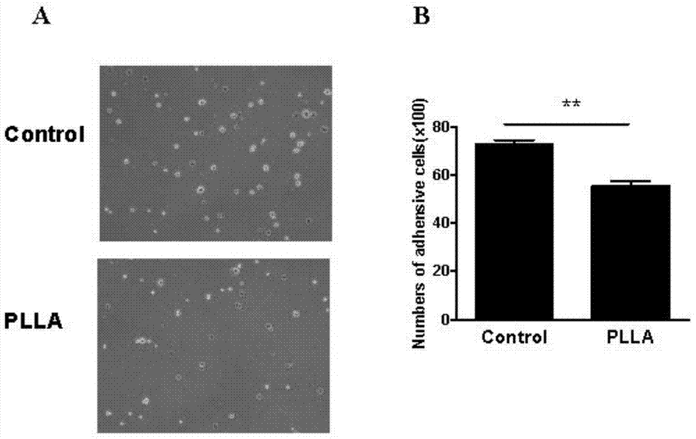 Method for inhibiting late endothelial progenitor cell function