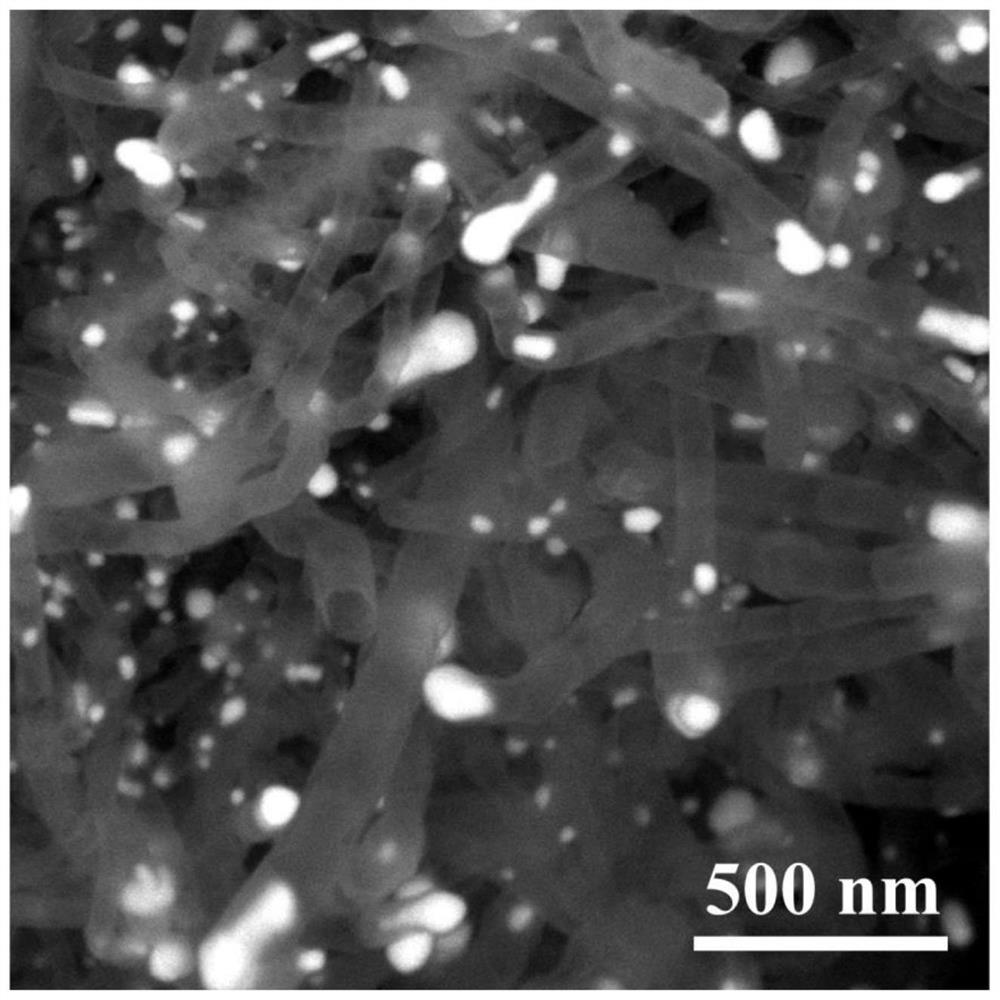 Preparation method of bamboo-like nitrogen-doped carbon nanotubes loaded with metal monoatoms and nanoparticles