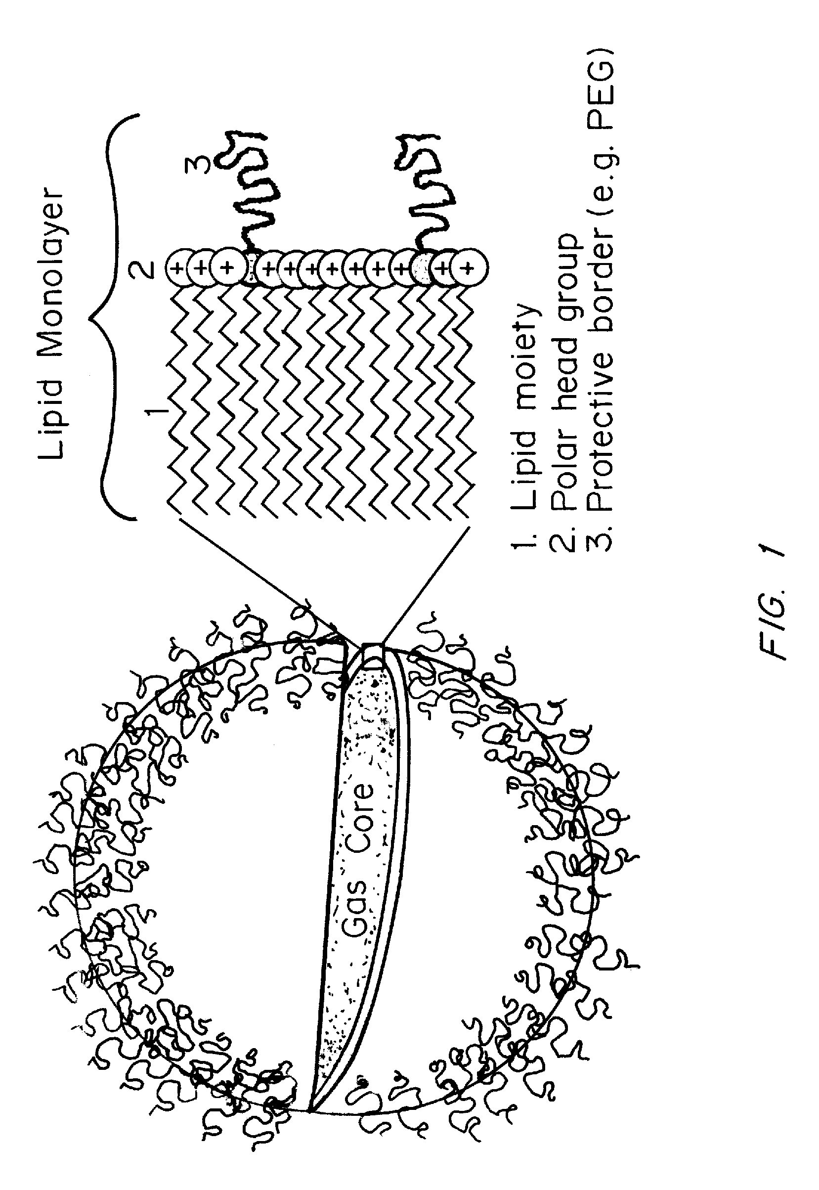 Microbubbles and methods for oxygen delivery