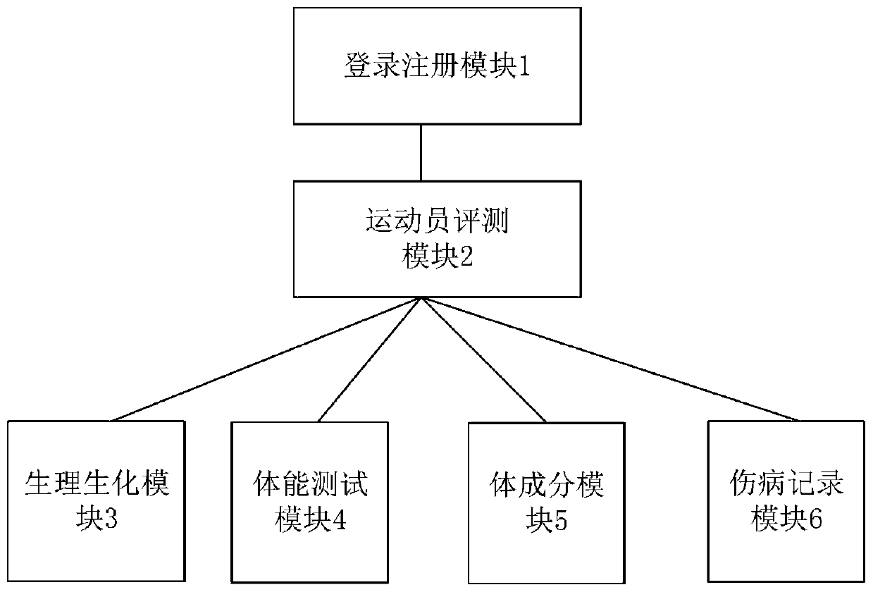 Exercise monitoring and evaluating system