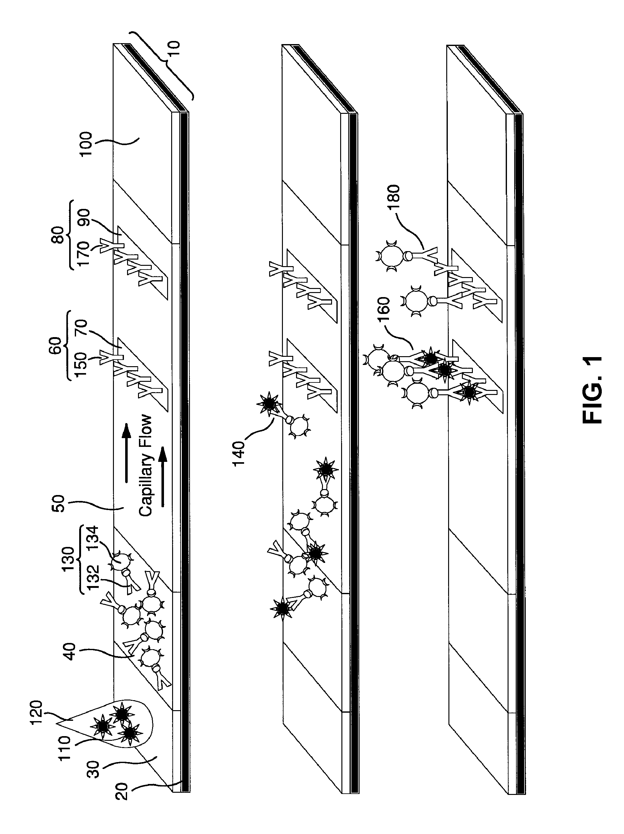Surface Enhanced Raman Scattering and Multiplexed Diagnostic Assays