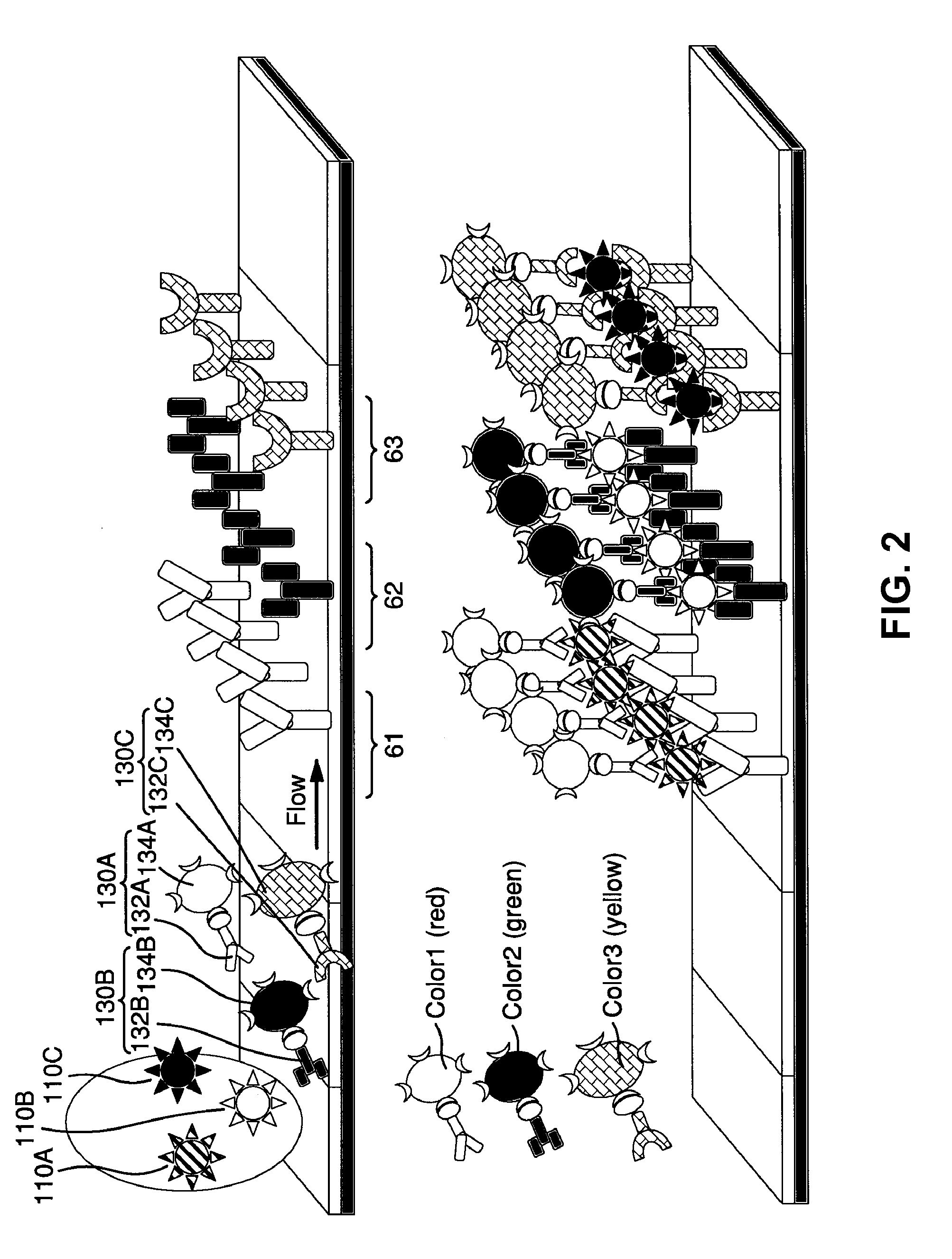 Surface Enhanced Raman Scattering and Multiplexed Diagnostic Assays