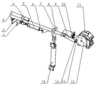 Adjustable hippophae rhamnoides branch and fruit clamping and vibrating harvesting device