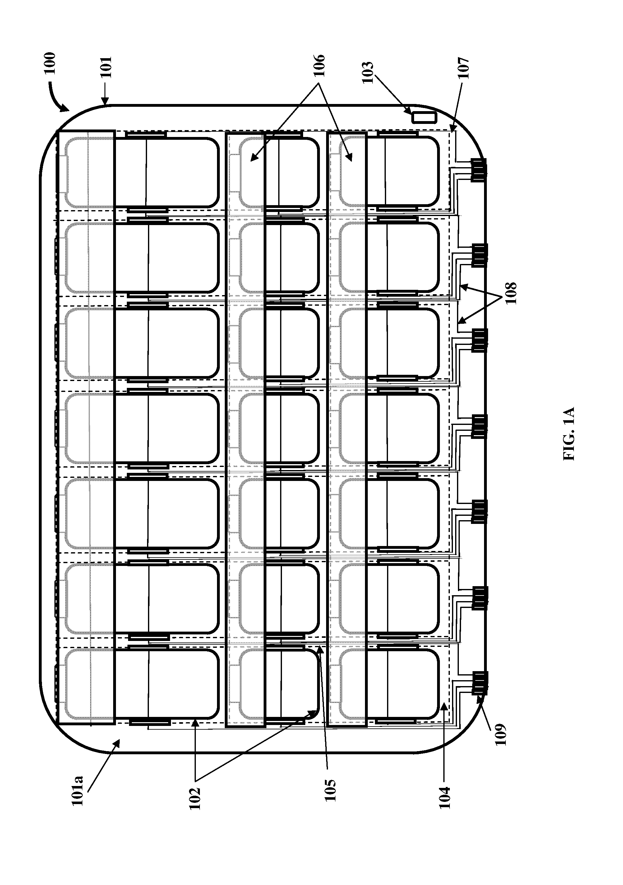 Medication Organizer Tray Apparatus