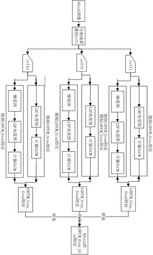 Bus passenger crowding degree identification system and method