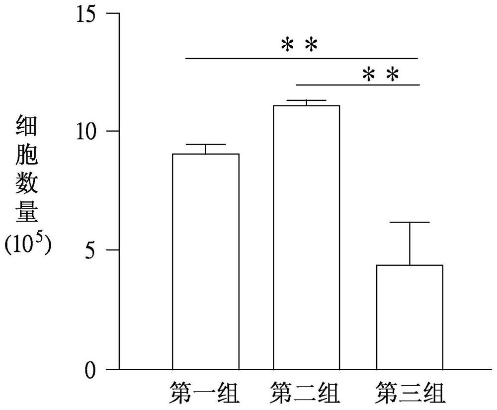 Application of butenyl phthalide and method for preparing butenyl phthalide into pharmaceutical composition