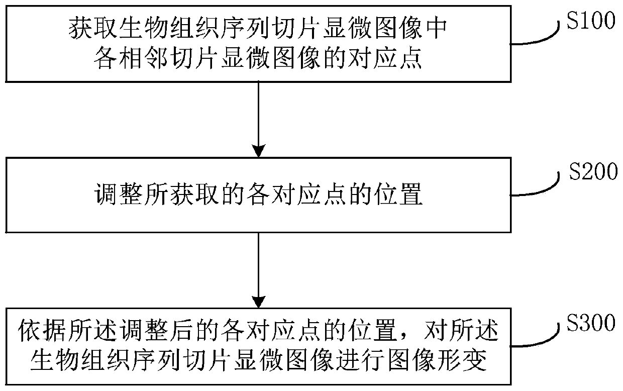 Registration method and device for microscopic images of biological tissue serial slices