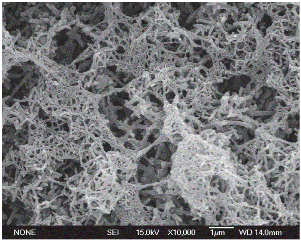 Preparation method of polypyrrole ppy nanocellulose nccs composite membrane electrode material