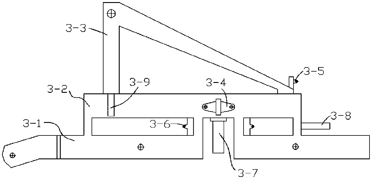 Triangular crawler-type walking device with adjustable ground clearance