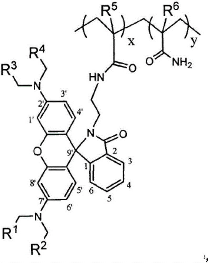 A polymer fluorescent probe containing rhodamine lactam group in the detection of h  <sup>+</sup> application on