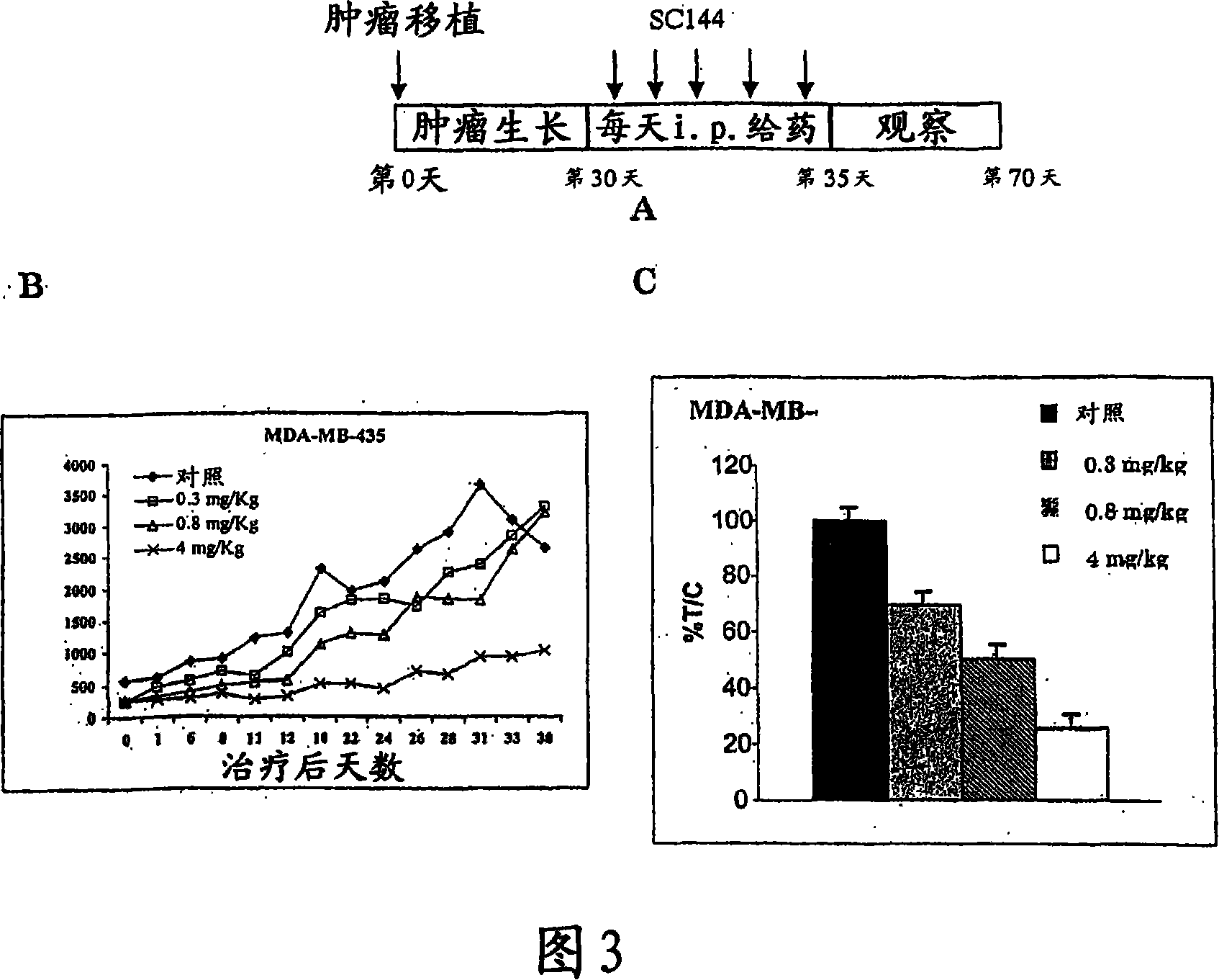 Novel compounds for treatment of cancer and disorders associated with angiogenesis function