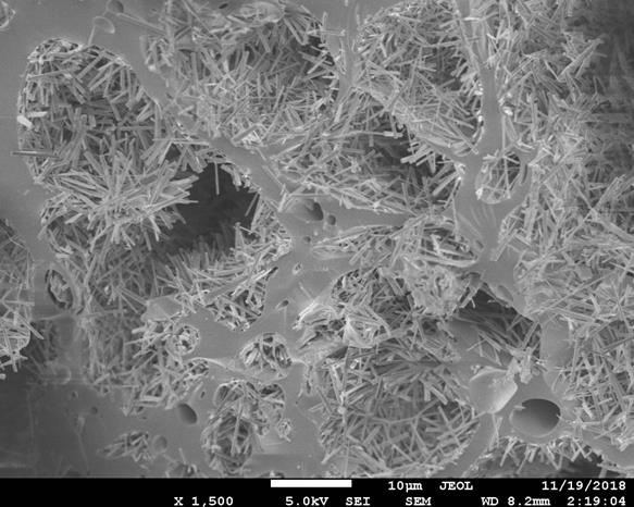 Modified macroporous material and preparation method thereof