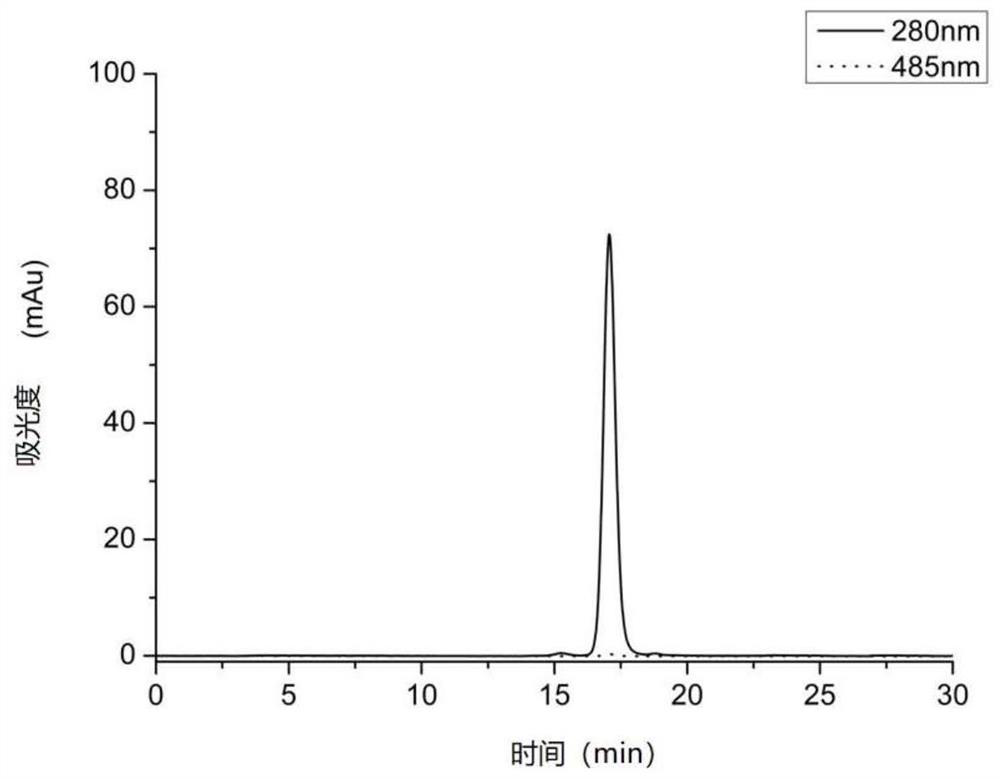 Nano-drug carrier, and preparation method and application thereof