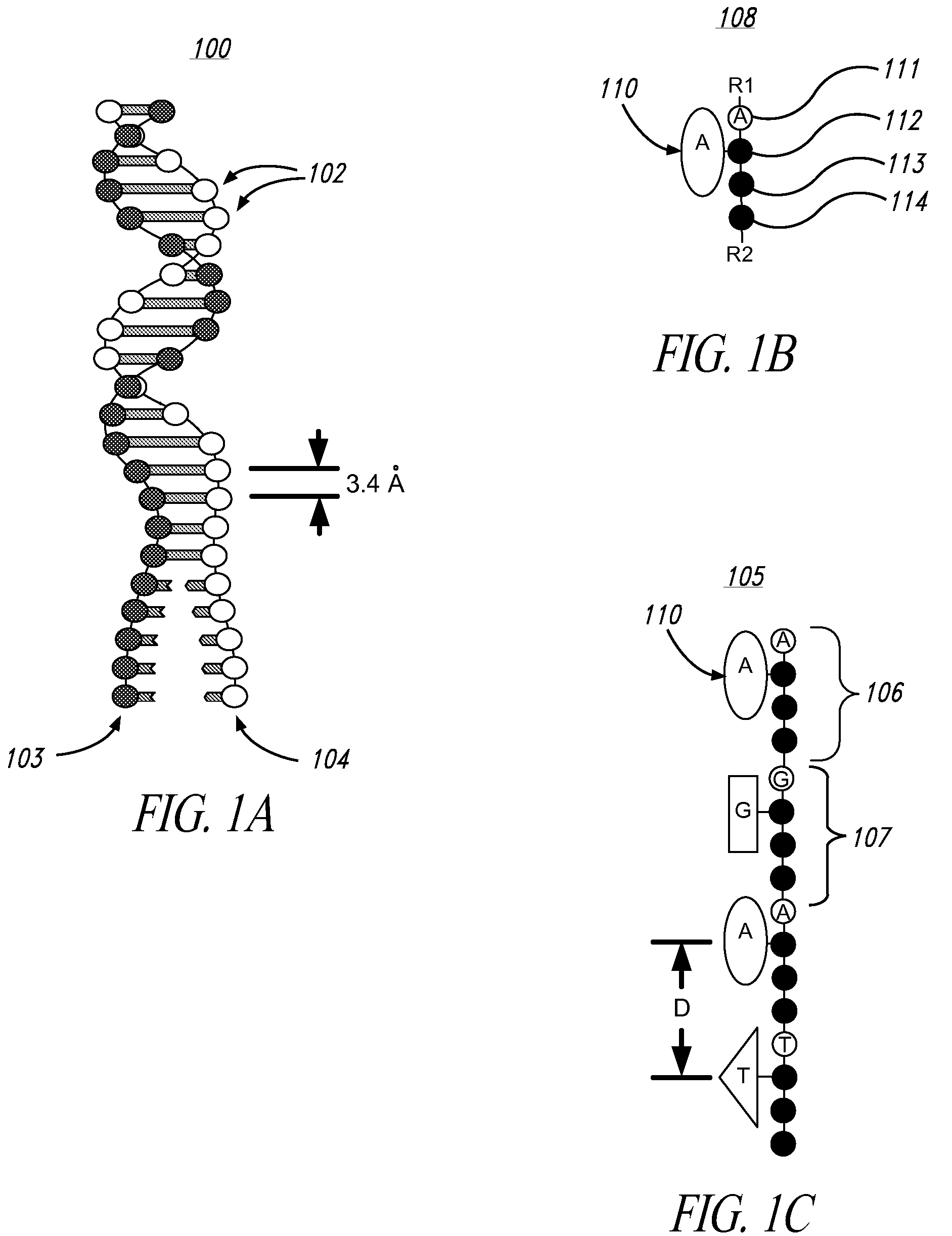 High throughput nucleic acid sequencing by spacing