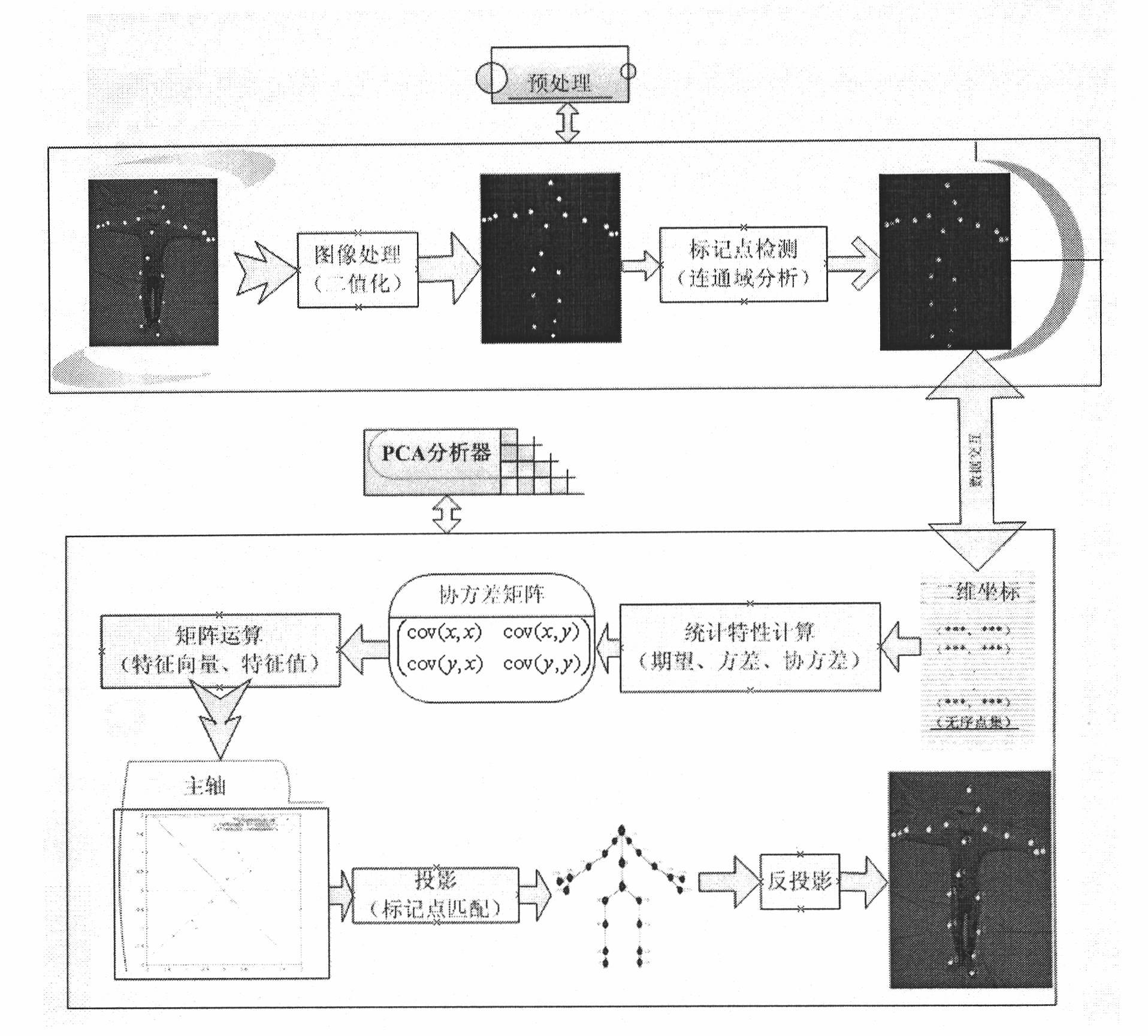 Mark point identification initializing method based on principal components analysis (PCA) in motion capture system