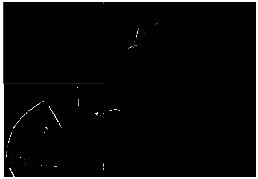 Method for preparing Cu2O solid microsphere