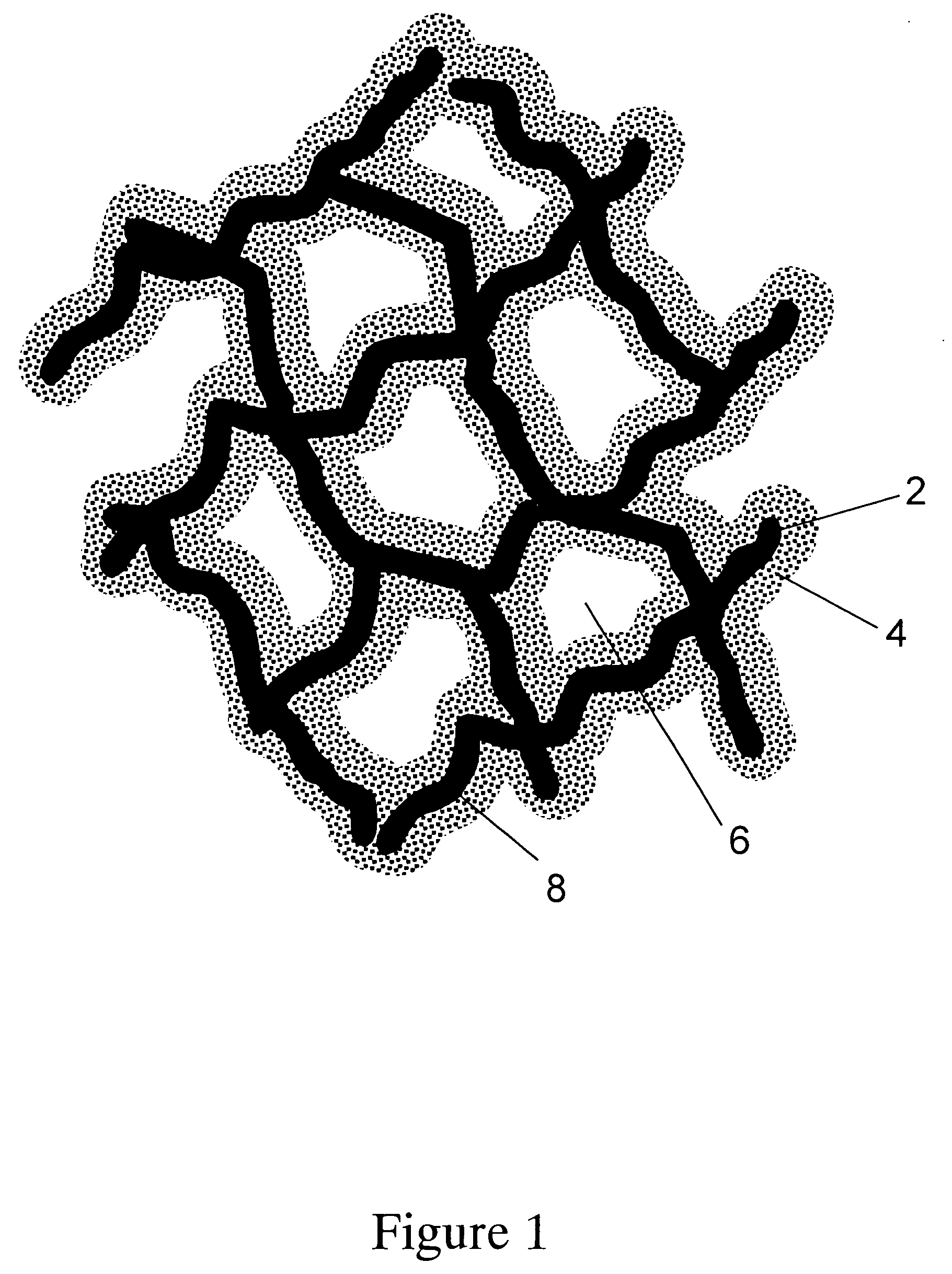 Porous adsorptive or chromatographic media