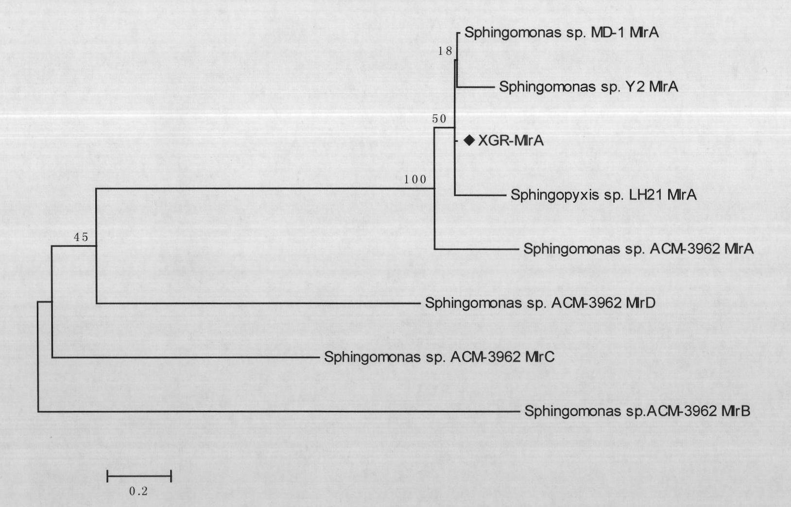Overall length cDNA sequence of micro-capsule algae toxins degrading enzyme MlrA, coded amino acid and application