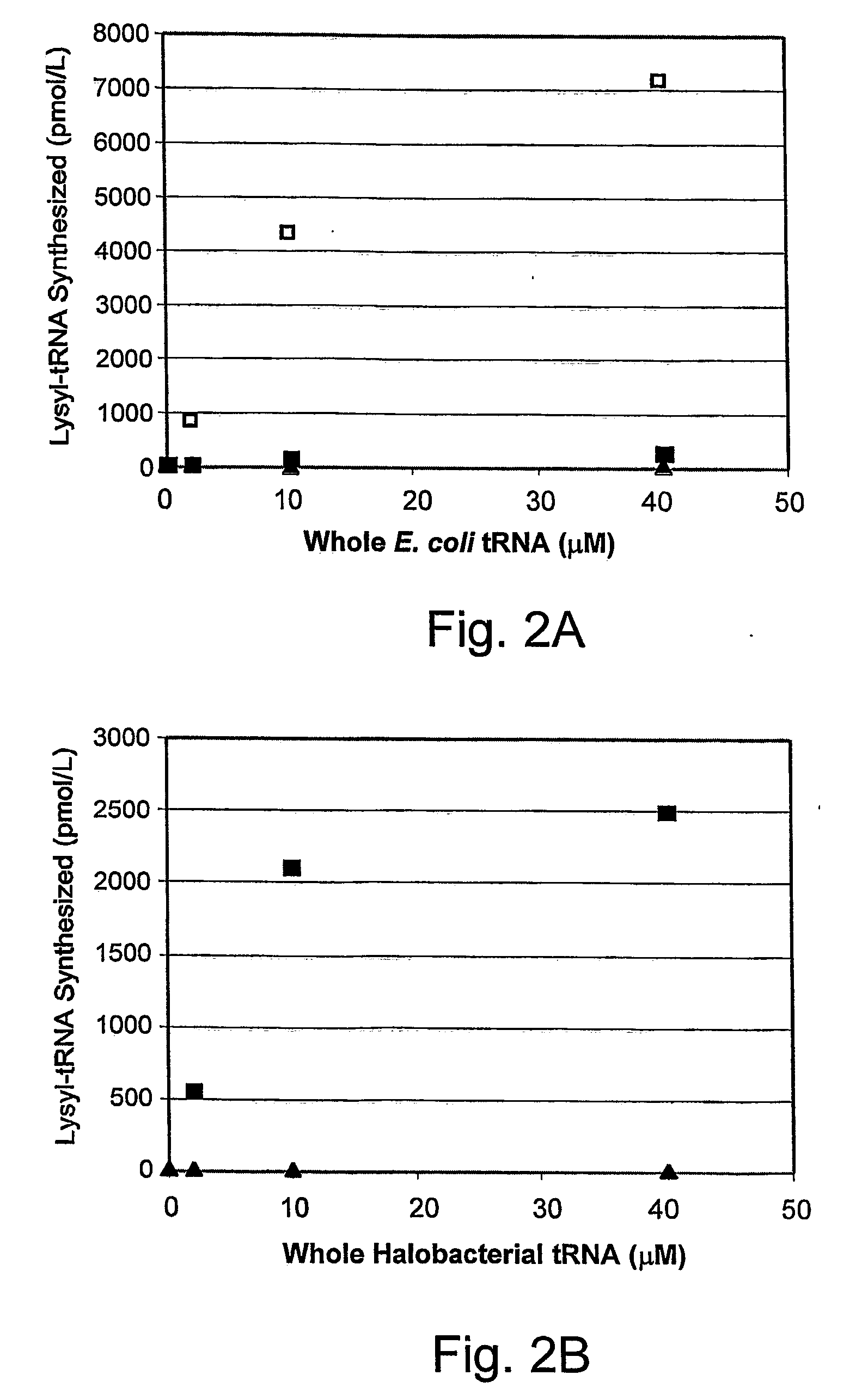Compositions of orthogonal lysyl-trna and aminoacyl-trna synthetase pairs and uses thereof