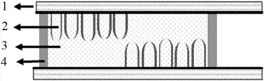 Lithium battery/smart window integral device based on titanium dioxide mesoporous nanotube array and preparation method of lithium battery/smart window integral device