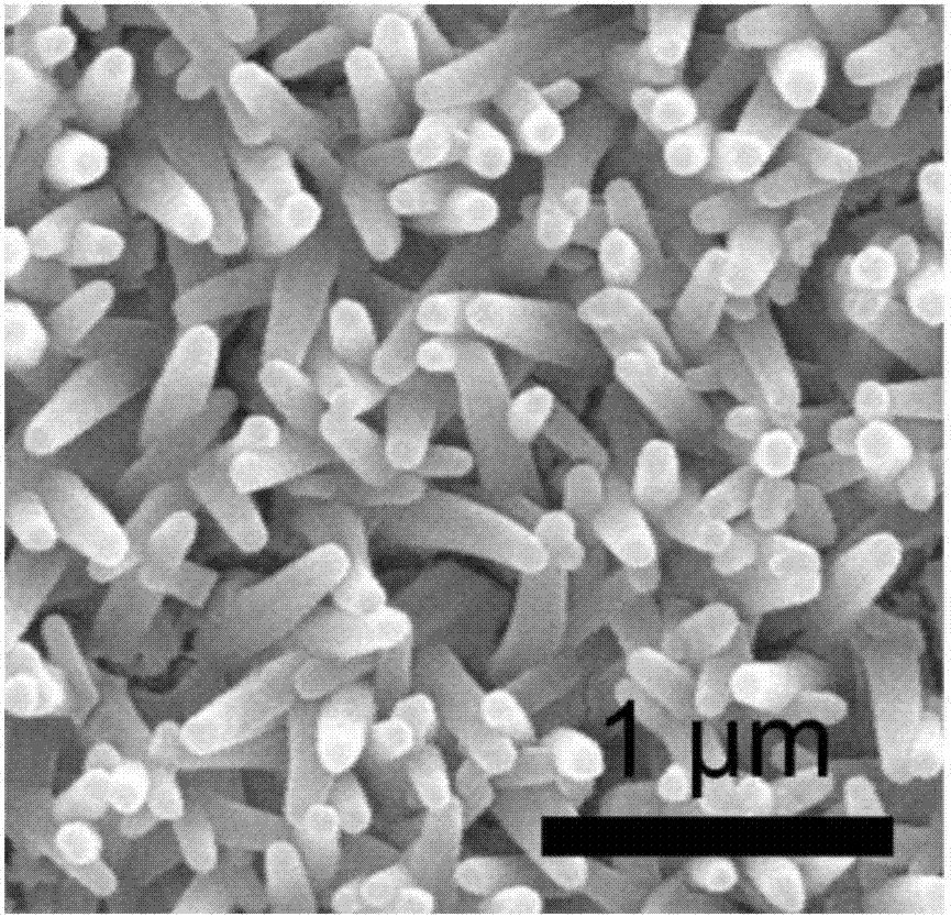 Lithium battery/smart window integral device based on titanium dioxide mesoporous nanotube array and preparation method of lithium battery/smart window integral device