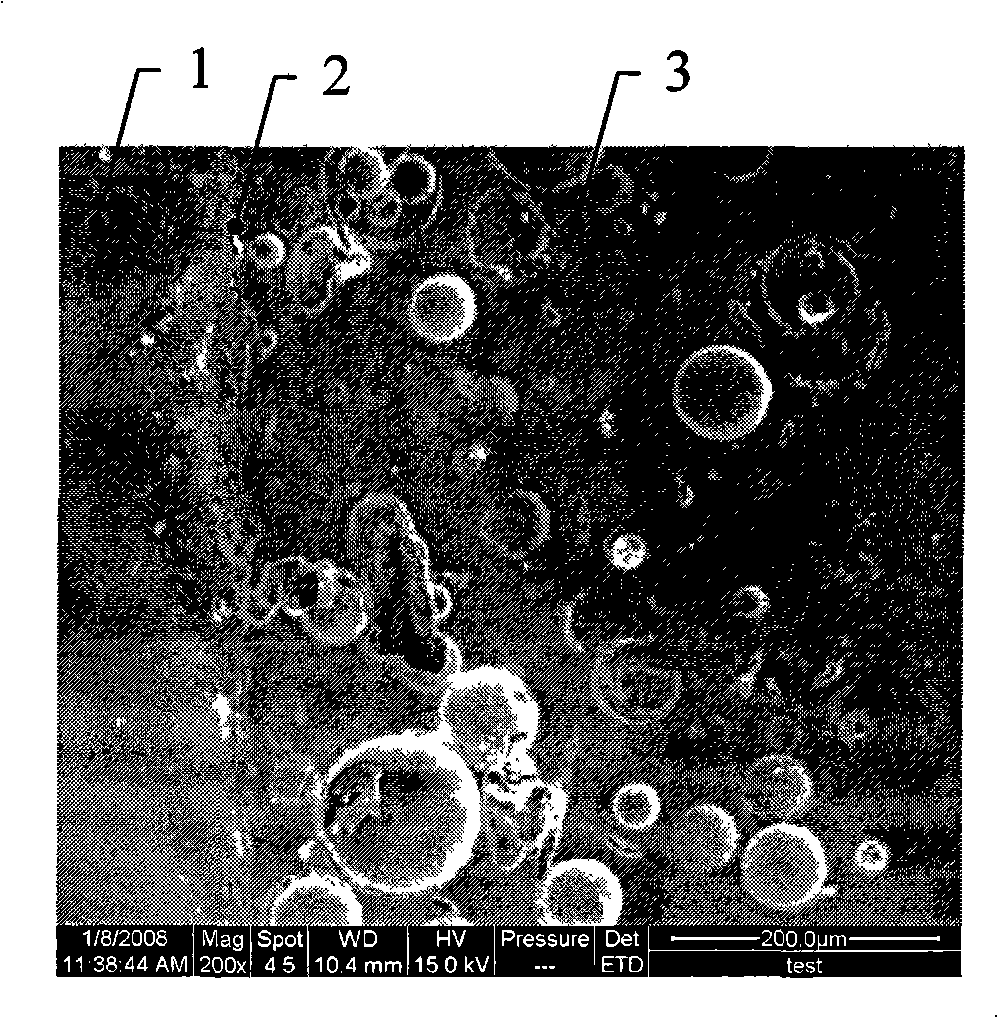 Method of preparing corrosive thermal insulation anti-ablation composite coating on light alloy surface