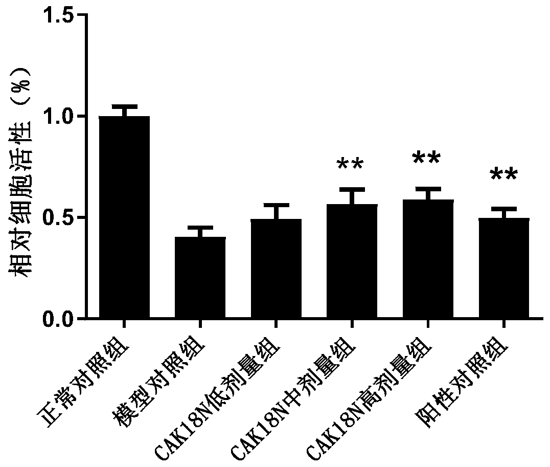 Polypeptide CAK18N and application thereof to promotion of regeneration and inhibition of liver apoptosis