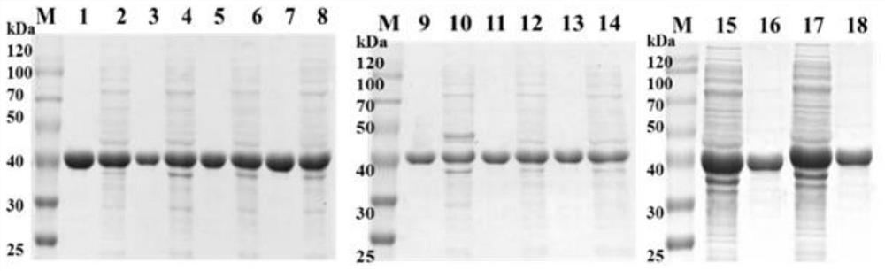 A kind of efficient preparation method of heterocyclic drug intermediate