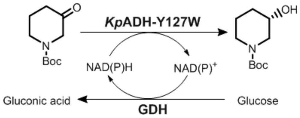 A kind of efficient preparation method of heterocyclic drug intermediate