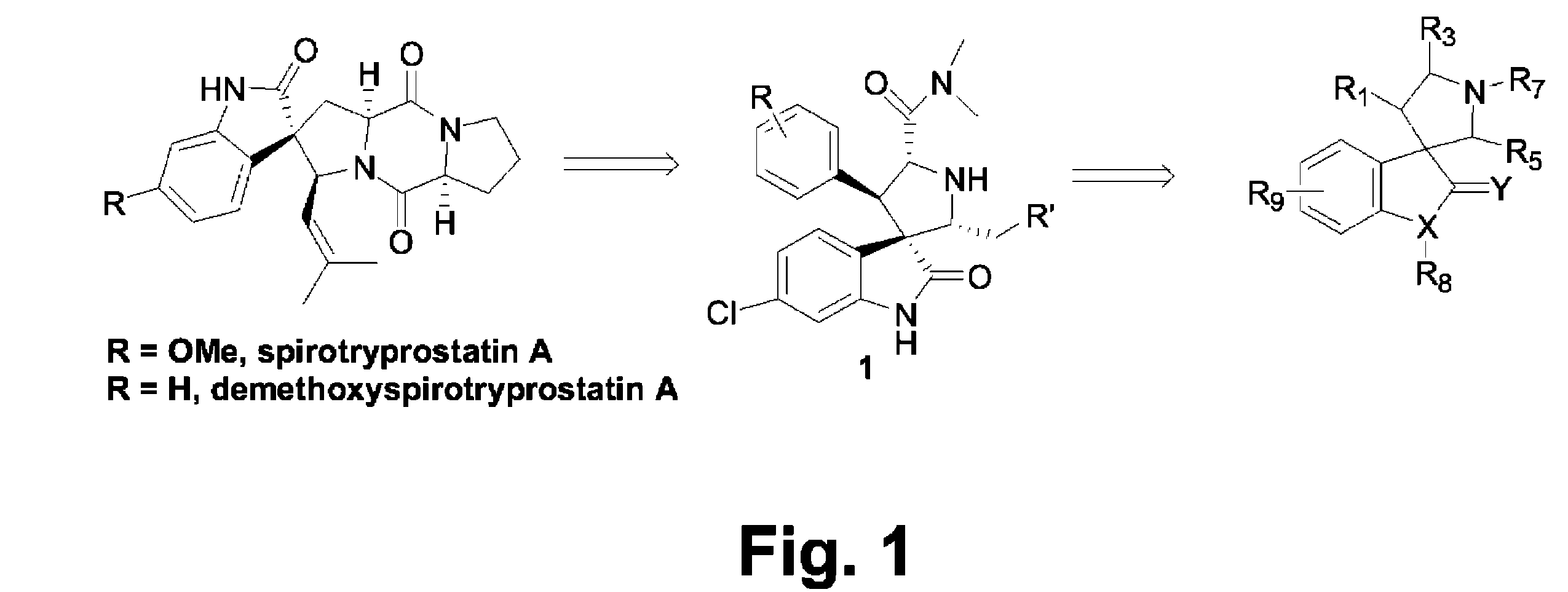 Small molecule inhibitors of MDM2 and the uses thereof