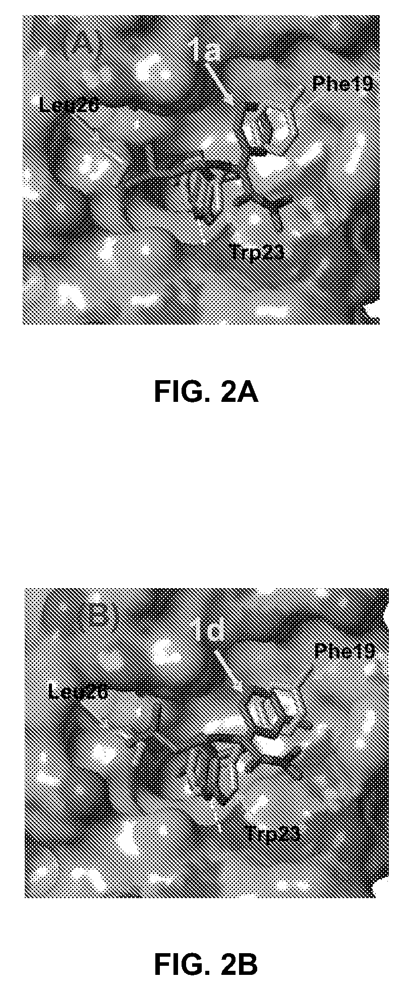 Small molecule inhibitors of MDM2 and the uses thereof