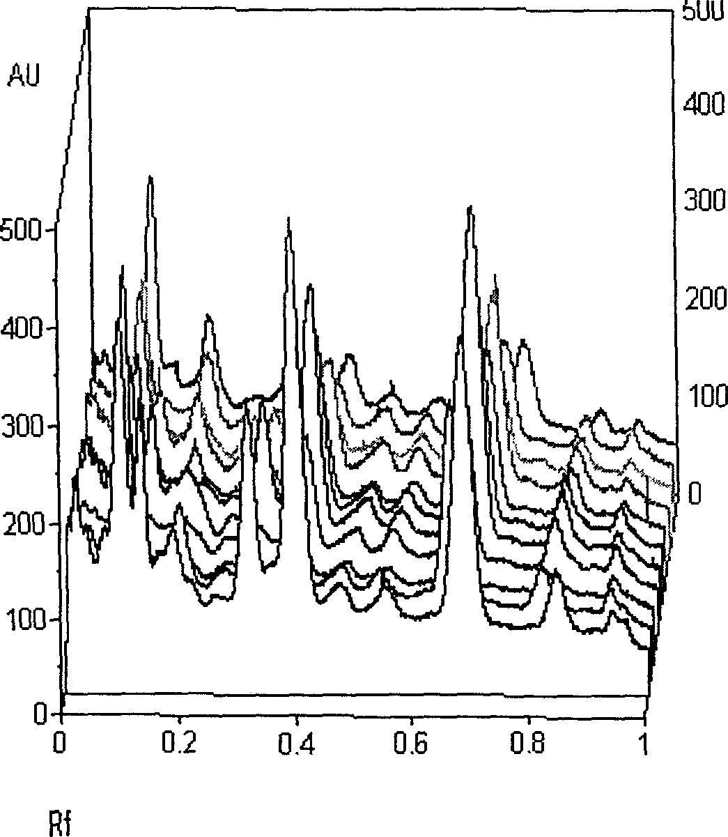 Method for constituting finger-print pyrogram of white atracty lodes and its standard finger-print pyrogram