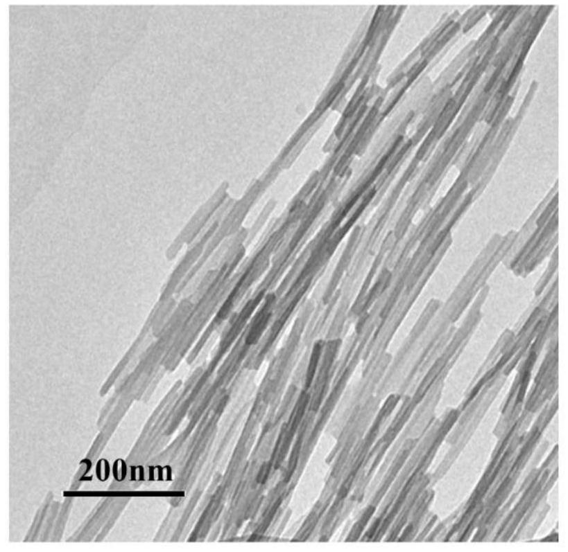 Preparation method and application of a copper nanocluster self-assembly