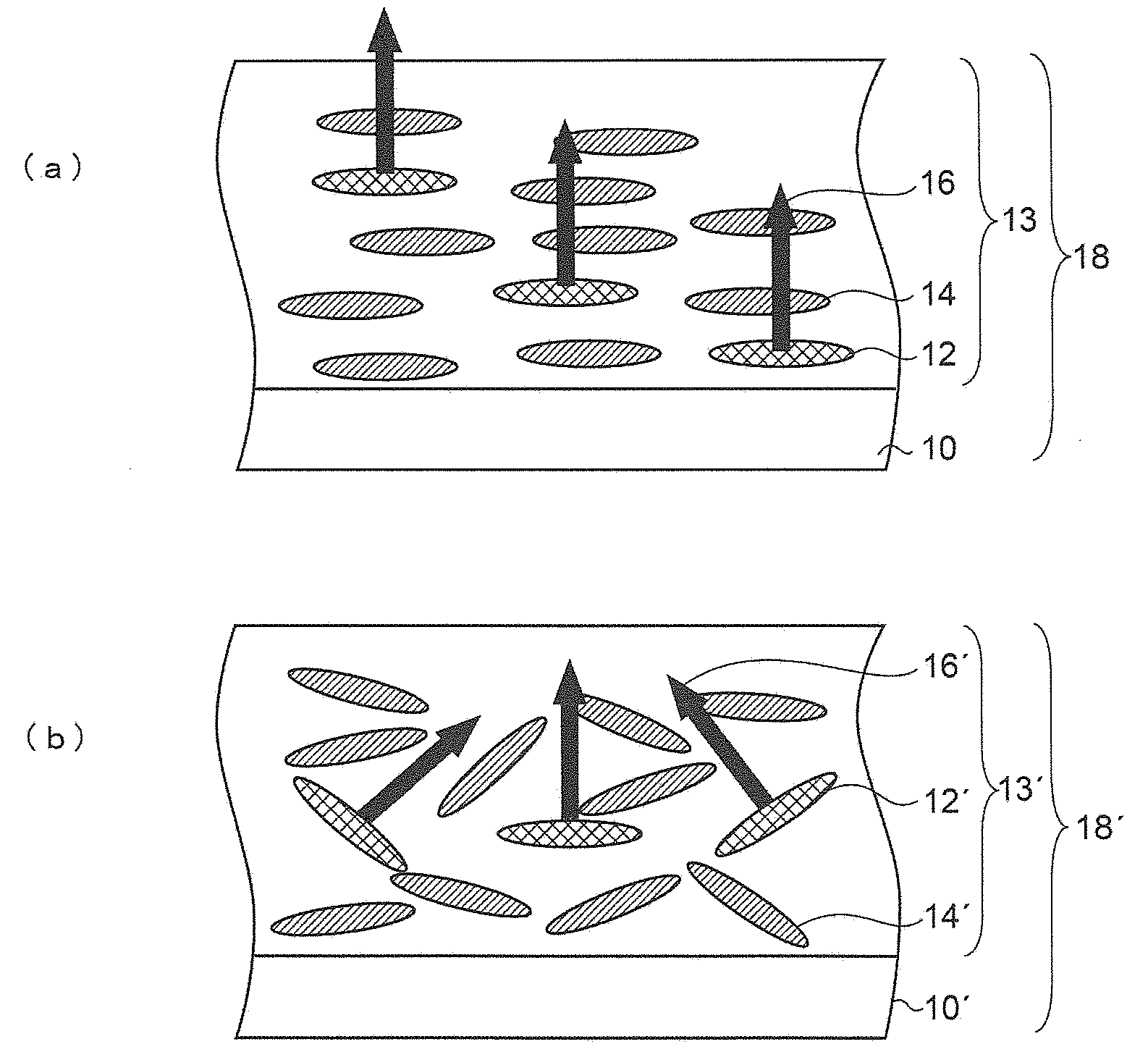 Phosphorescent material, process for producing phosphorescent material, and phosphorescent element