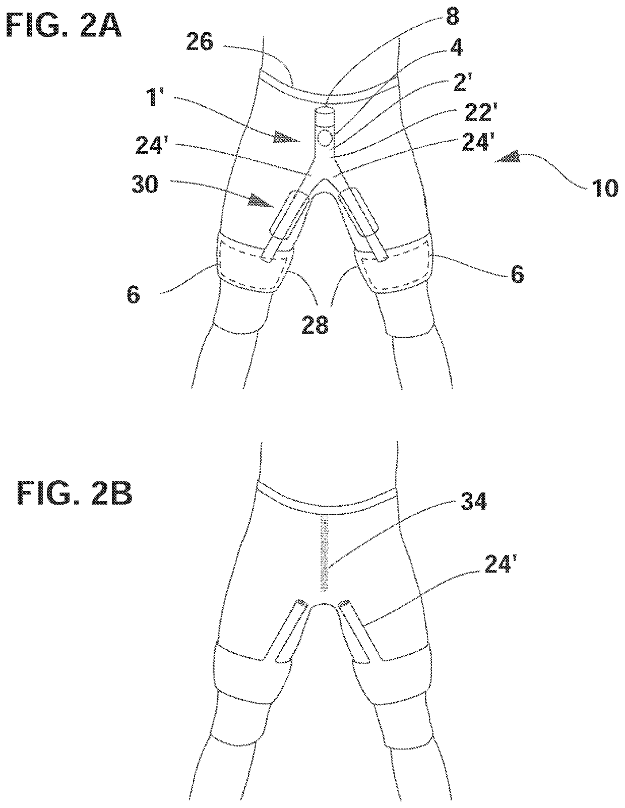 Wearable urinary collection apparatus