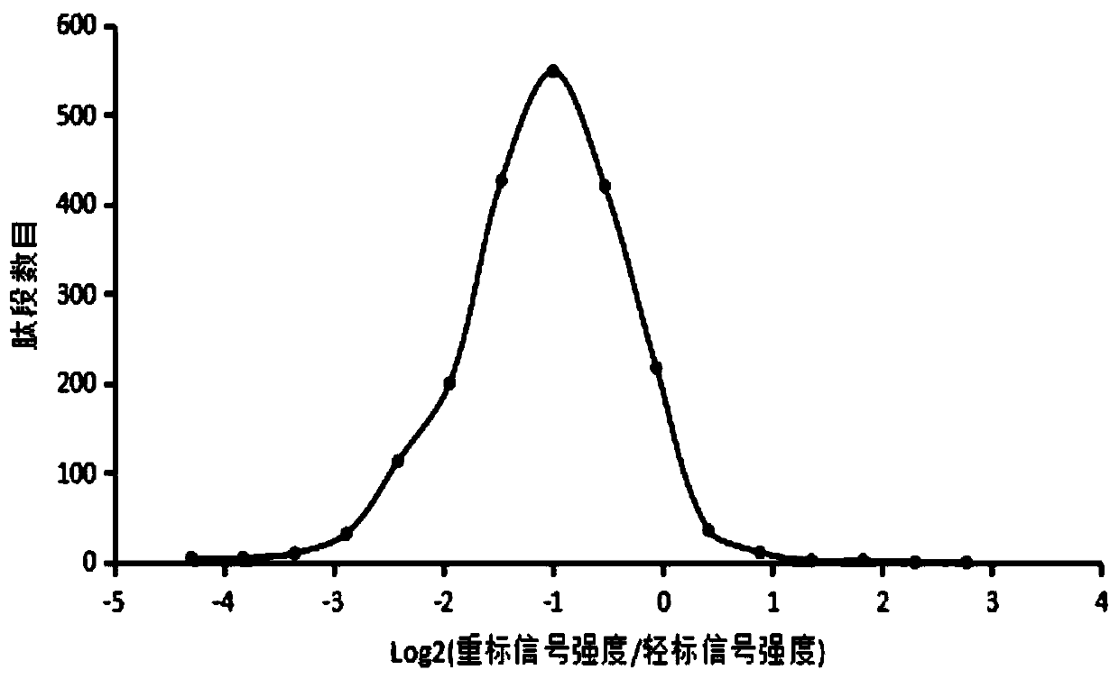 Method and special culture medium for SILAC labelling of mycobacterium smegmatis protein