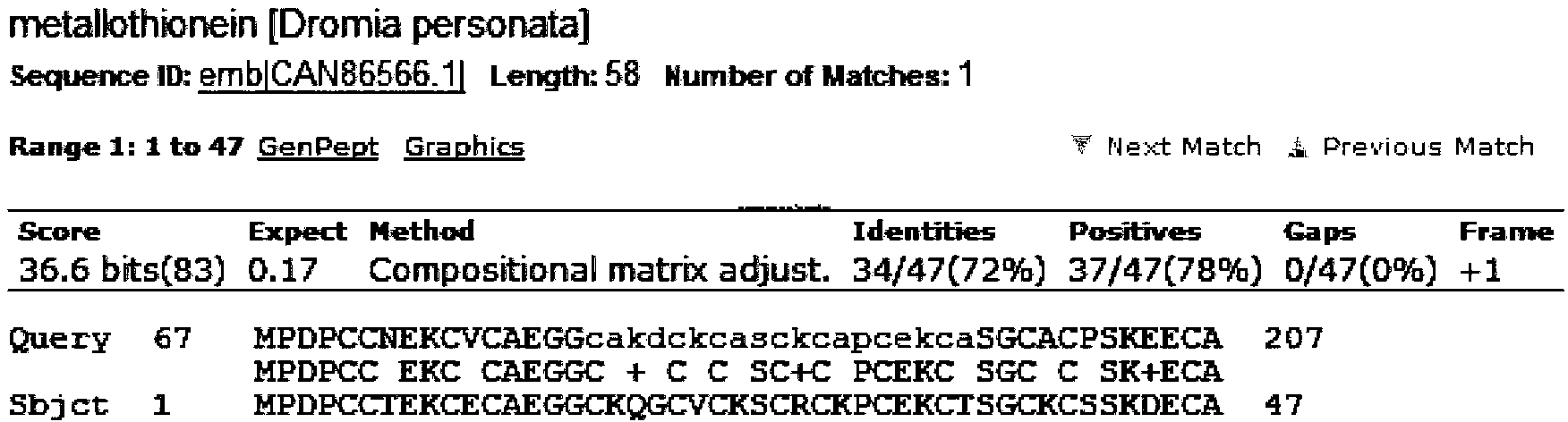 Litopenaeus vannamei metallothionein gene LvMT as well as coding gene and application thereof