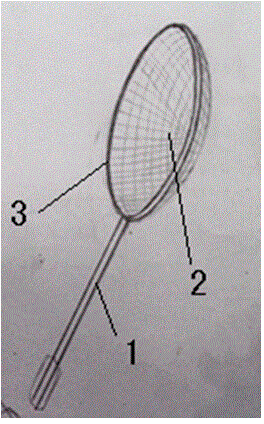 Sticking net type flyswatter