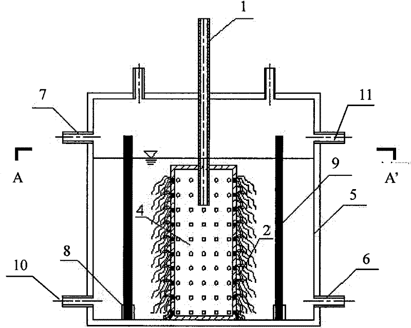 A kind of reactor and method for removing nitrate in water