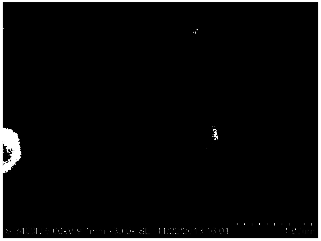 A high-efficiency lignocellulose-degrading bacteria k20 and its application