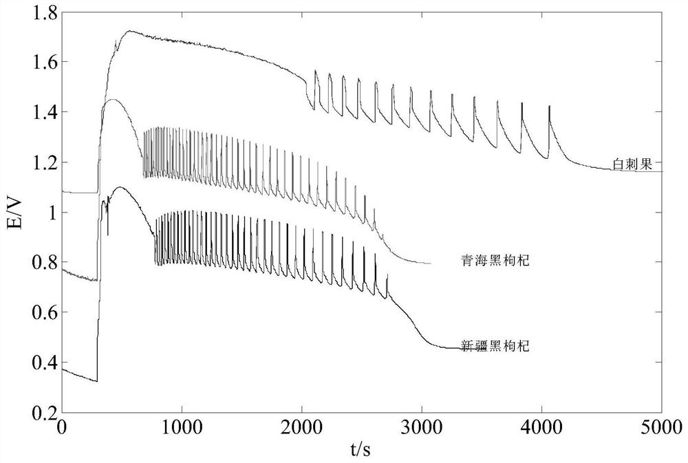 A method for identifying the authenticity of black wolfberry based on nonlinear chemical fingerprint technology