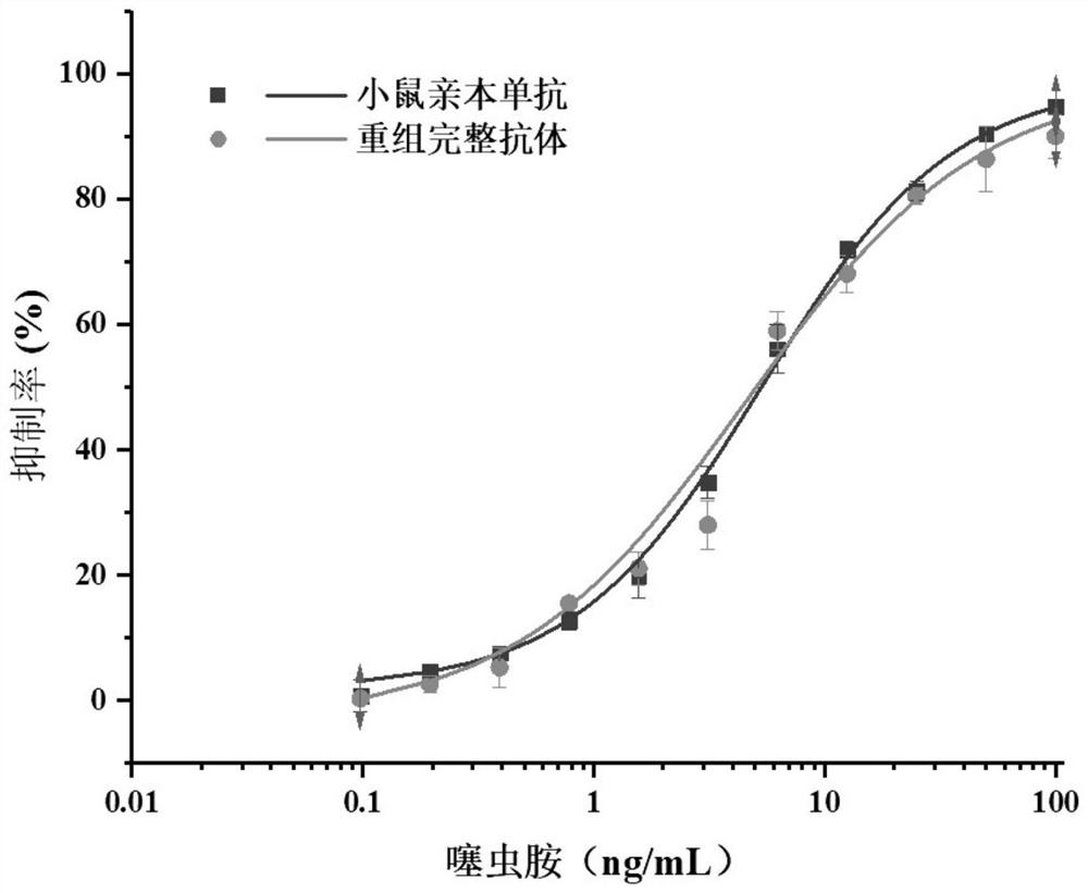 Variable region sequence of specific anti-clothianidin antibody, and preparation and application of recombinant complete antibody thereof