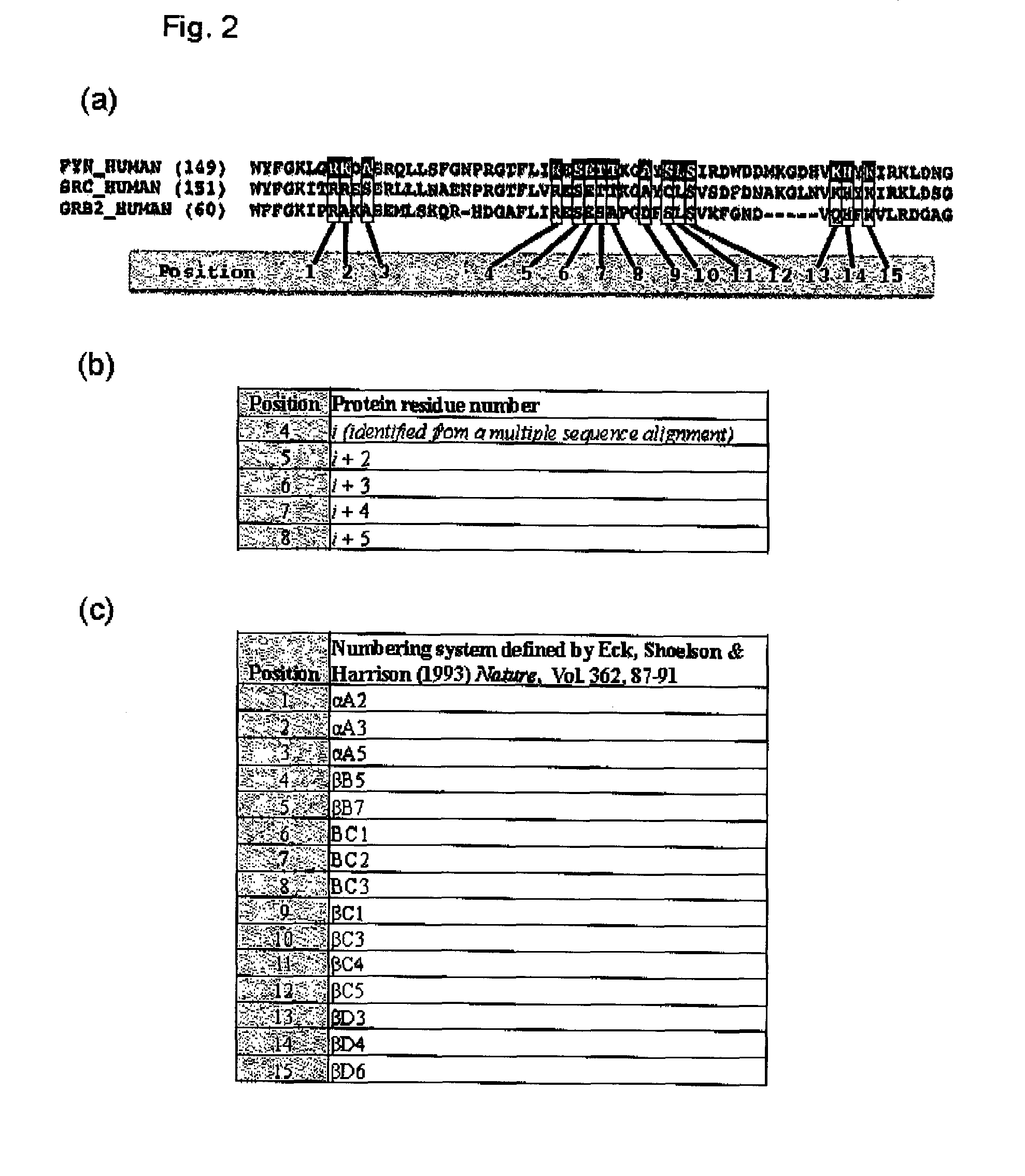 Sh2 domain variants