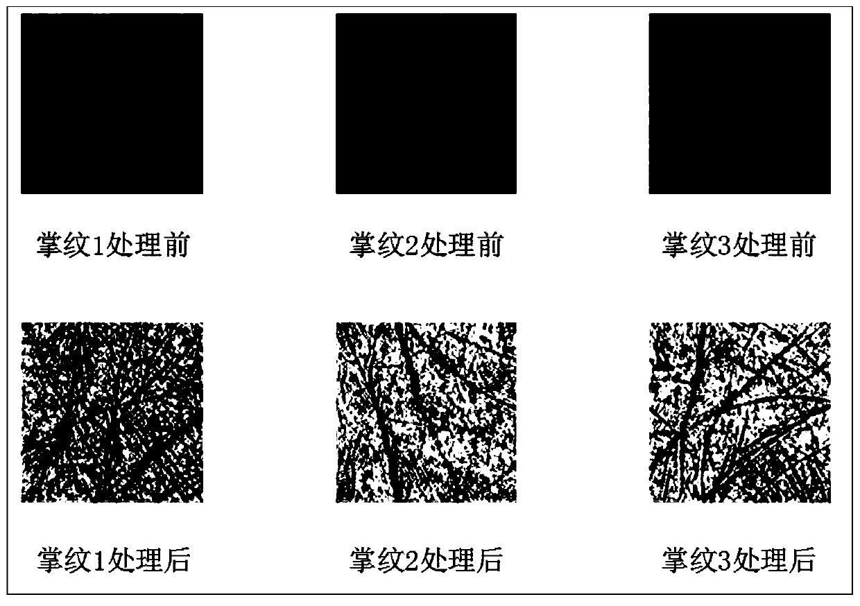 Multispectral palmprint matching method based on tensor