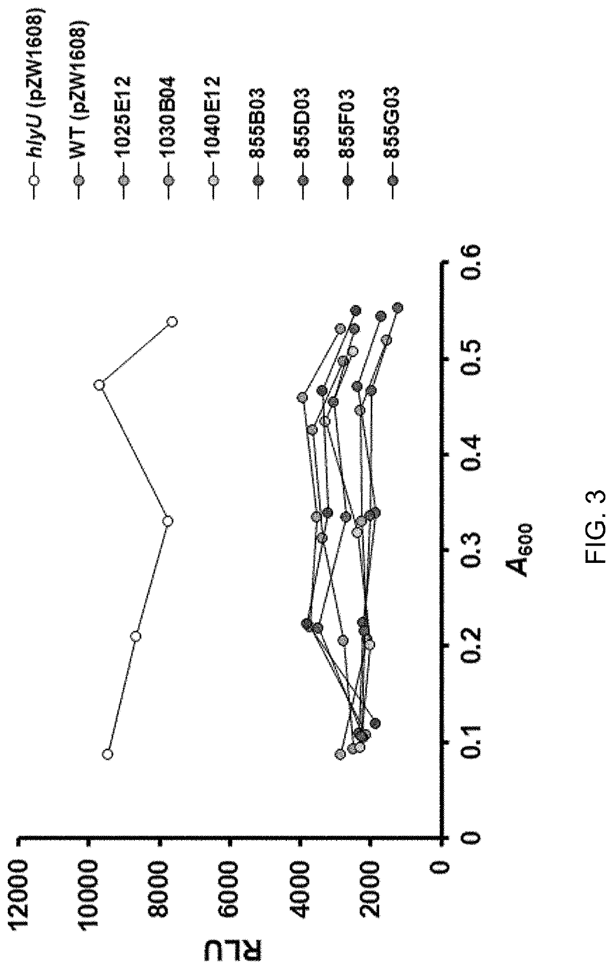 Rtx toxin production inhibitor and composition for treating symptom of vibrio infection by using same