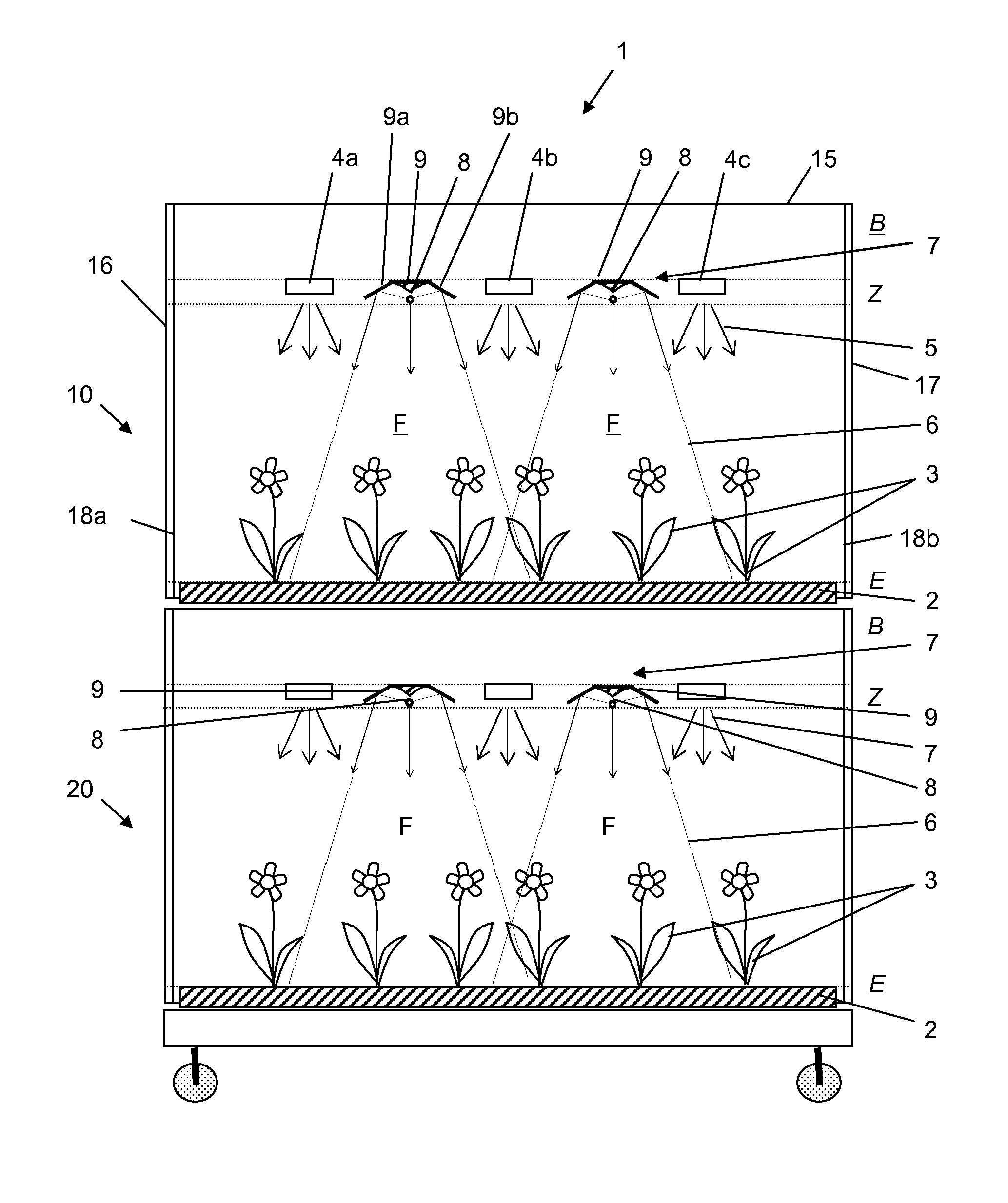Irradiation device for irradiating plants